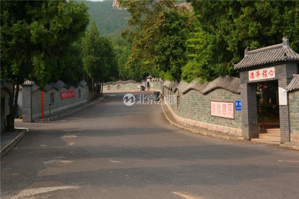 陵园道路