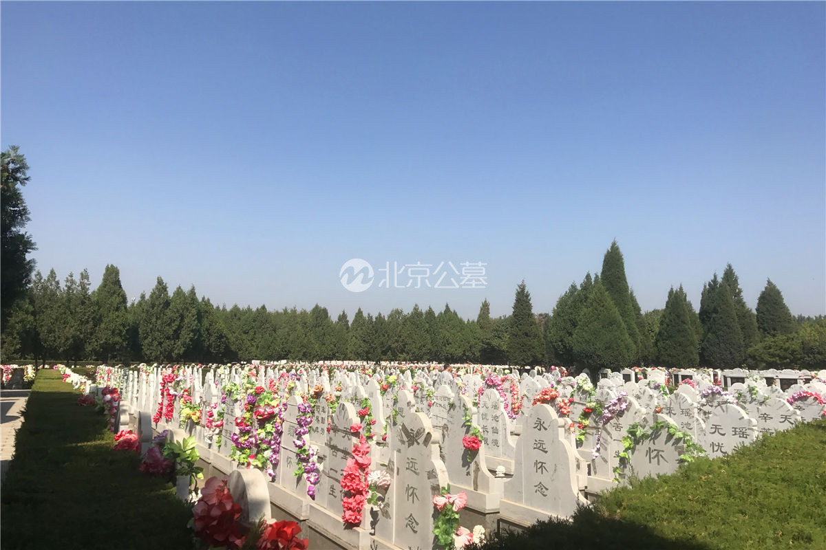 墓区全景