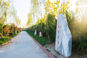 树葬园区小路