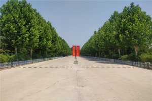 公墓主路