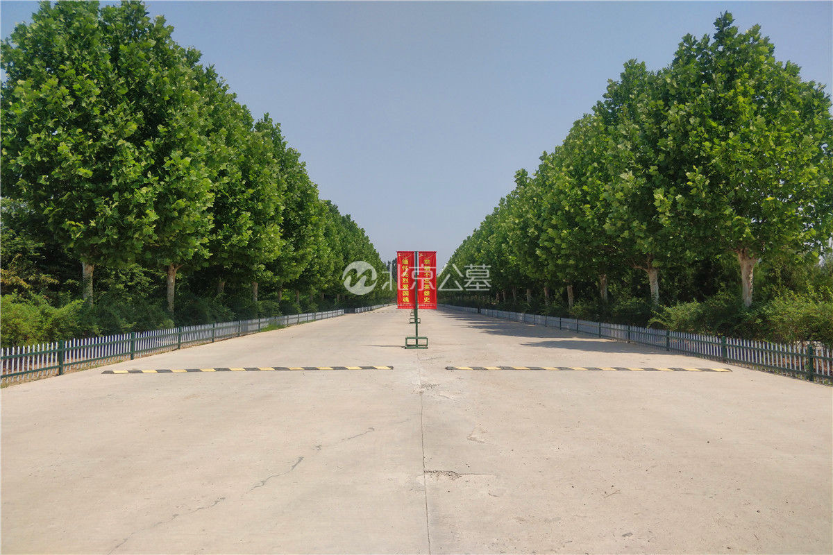 公墓主路