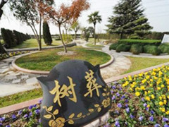 在全国加快推行‘树葬’的建议”进行了答复