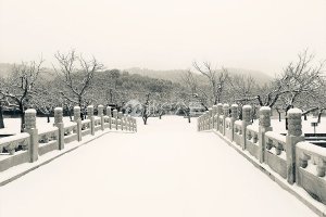 道路两边