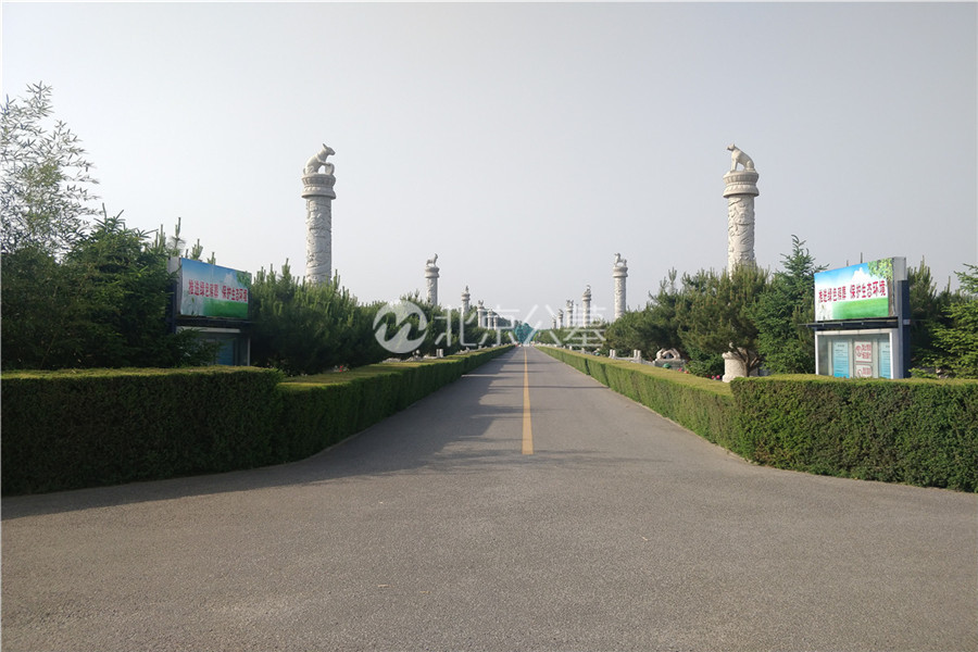 道路两侧