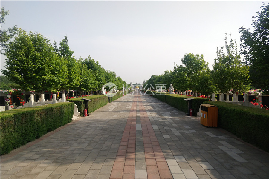 道路风景