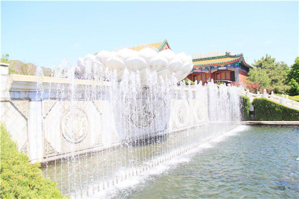 天寿陵园莲花池