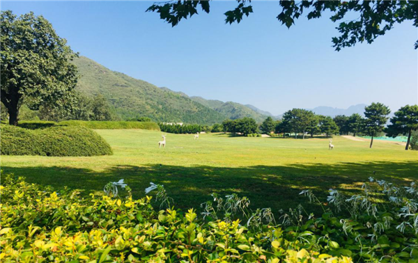 北京天寿陵园景观