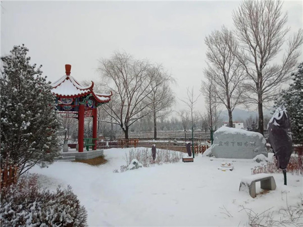 冬景2