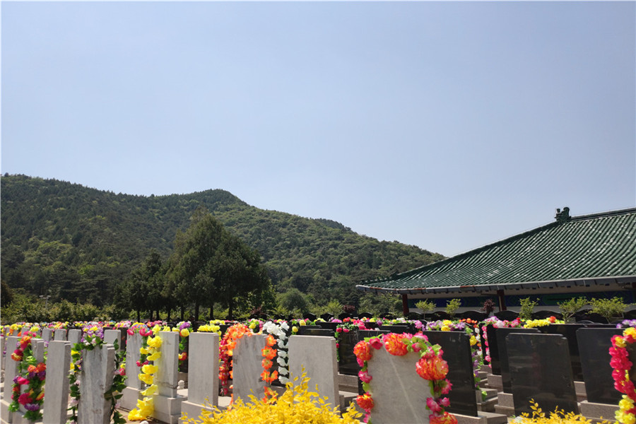 墓区