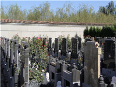 记住这三个原则帮你选择好墓地,你还担心不知怎么选吗