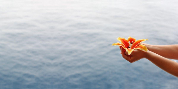 骨灰撒海