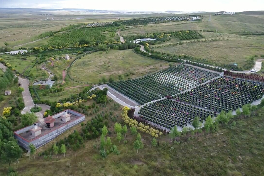 陵园墓区远景