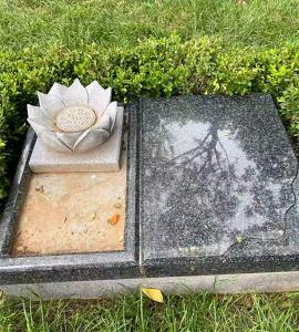 爱莲