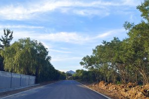 园区外道路