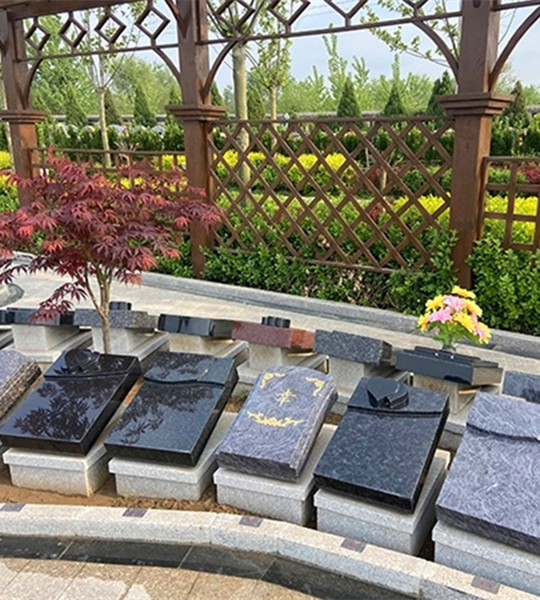 节地园草坪葬1