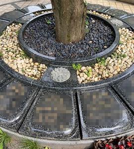 节地园树葬