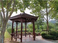 厚养礼葬：传统文化中的礼与俗的融合