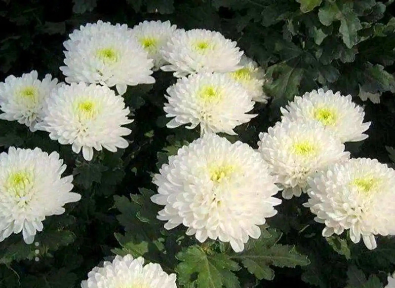 告别