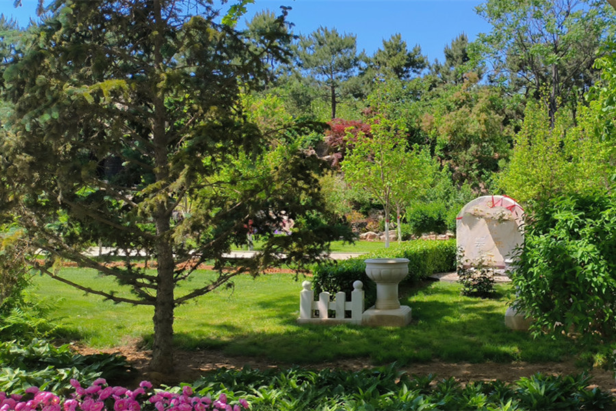 陵园风景