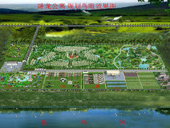 京南拒马河畔墓地-卧龙公墓花坛葬、树葬、立碑价格多少钱