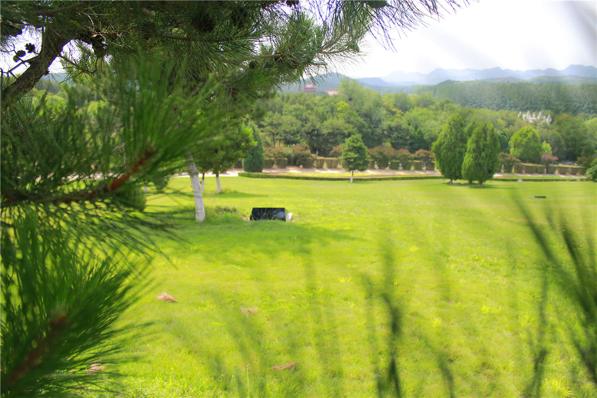 陵园绿化风景