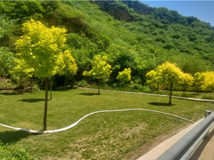 九公山长城纪念林价格多少钱？九公山长城纪念林树葬墓碑介绍及价格？