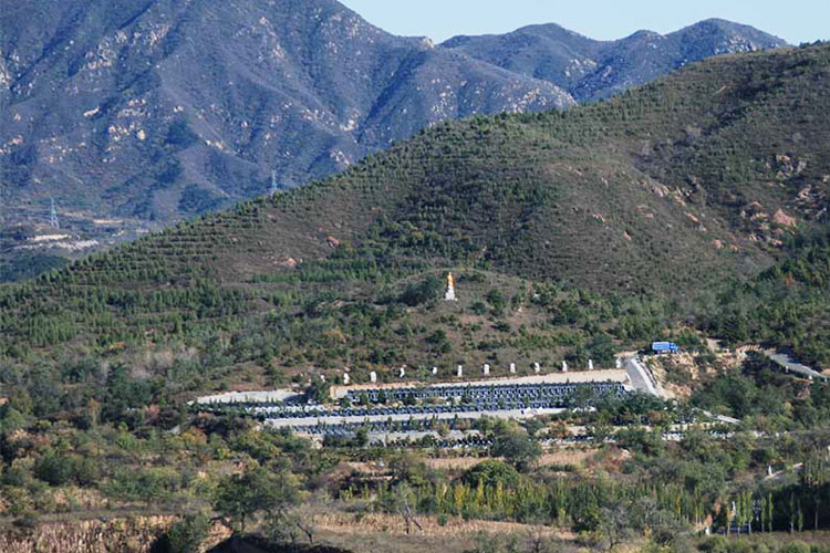 陵园风景