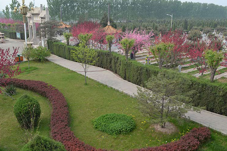 陵园风景
