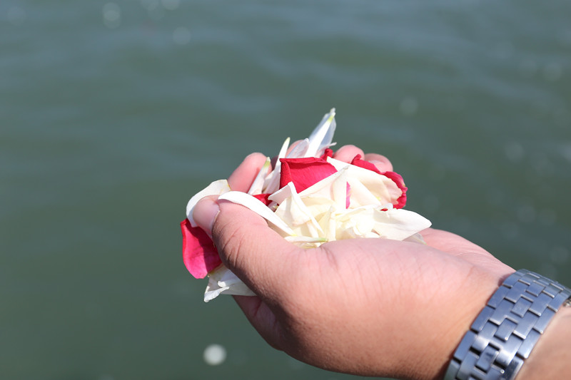 骨灰海撒