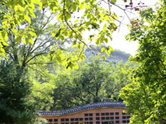 北京门头沟墓地有生态葬出售吗？大概价格是多少钱？