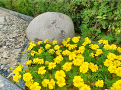 北京房山区生态葬墓地有哪些？房山公墓陵园生态葬价格多少