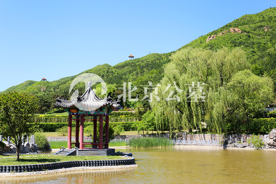陵园景观