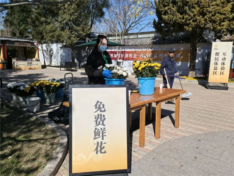 免费鲜花