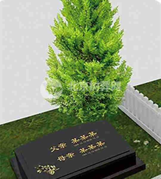树葬墓型价格1万左右