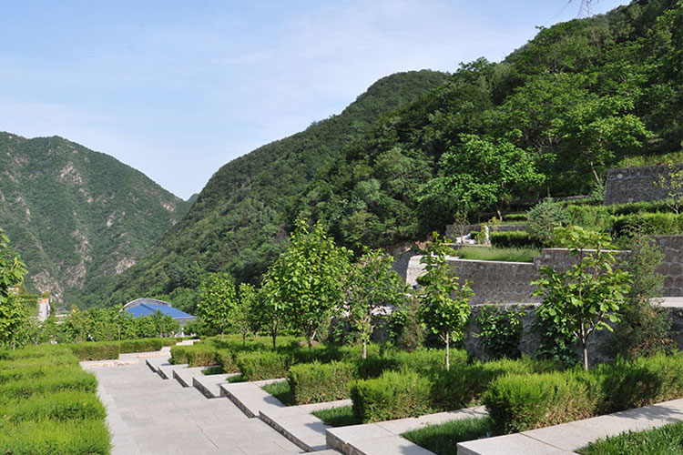 陵园实景