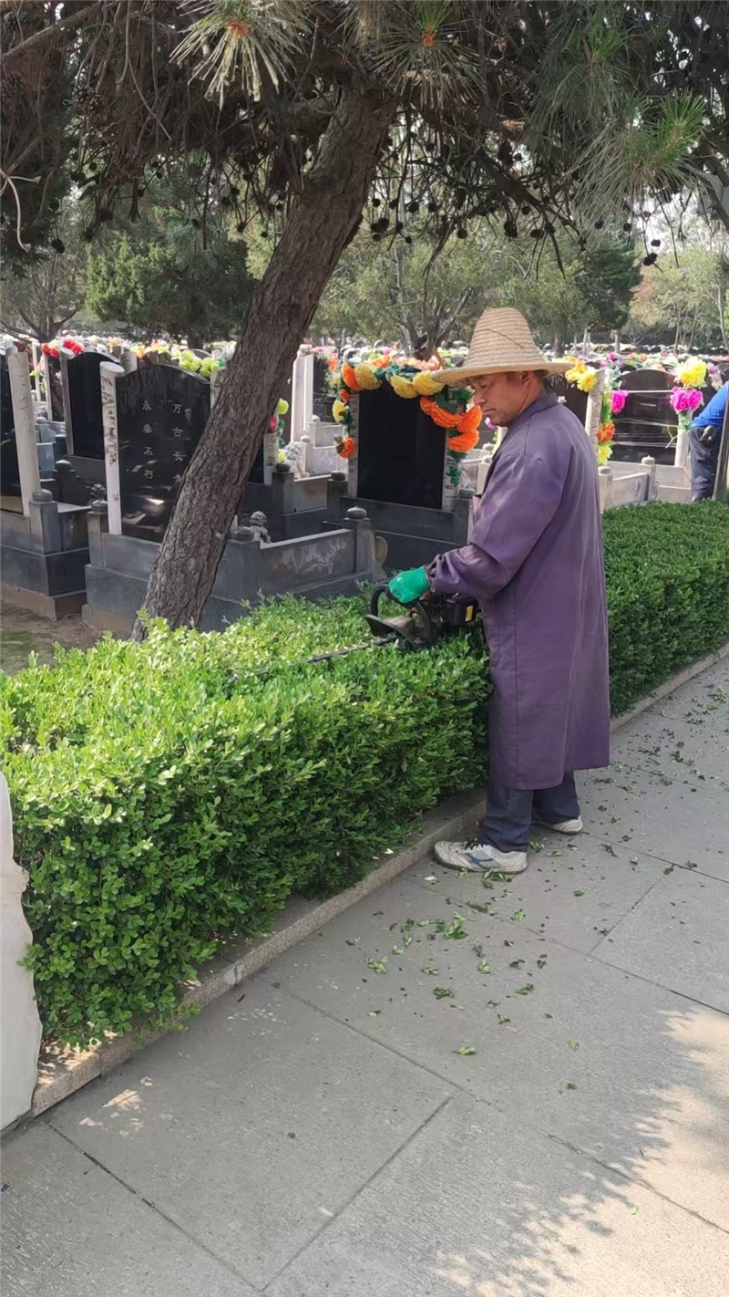绿化