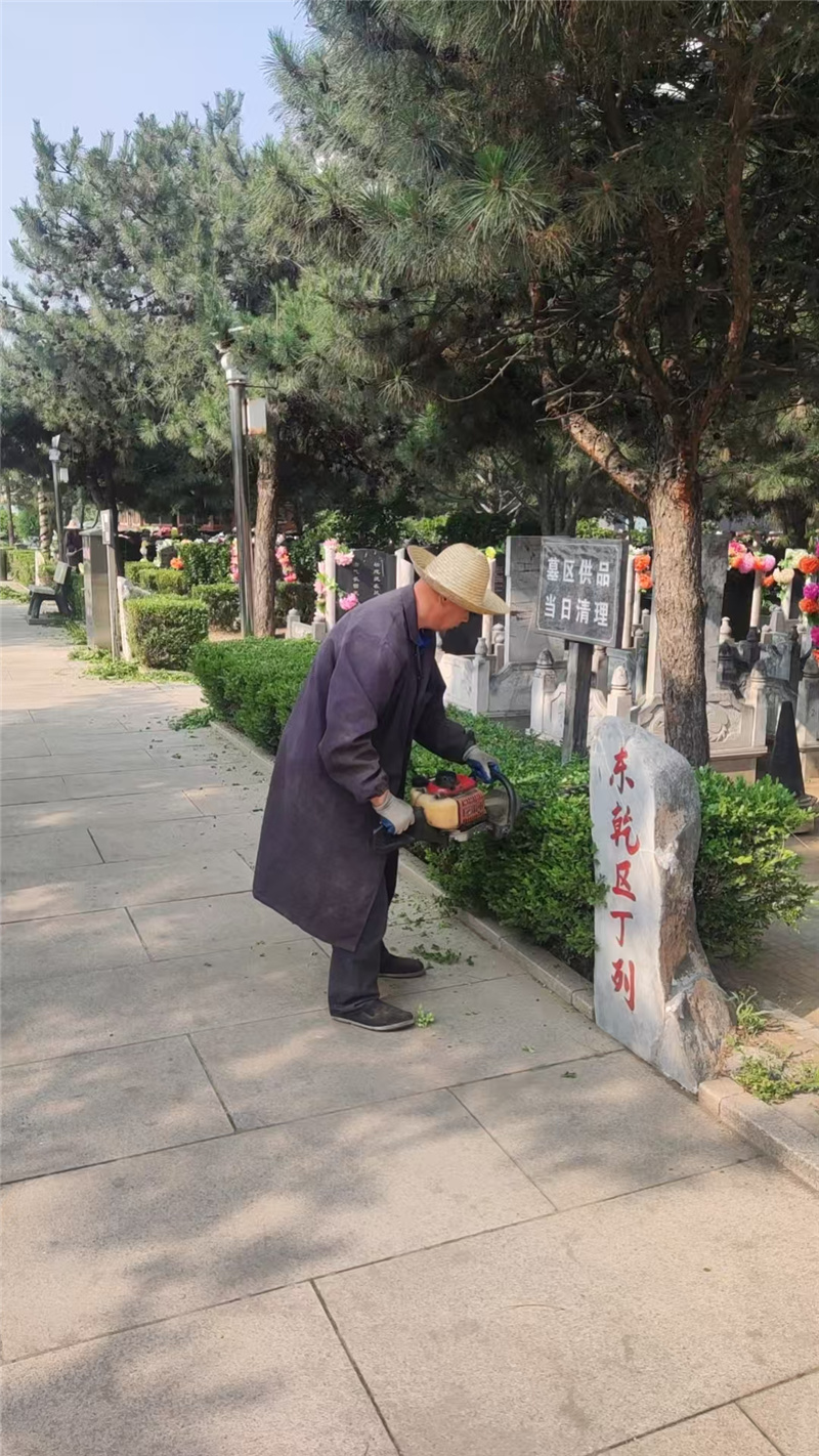 绿化养护管理