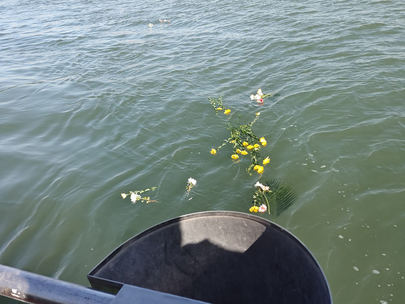 骨灰海撒