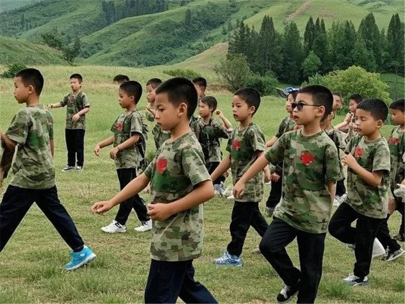 小小兵王
