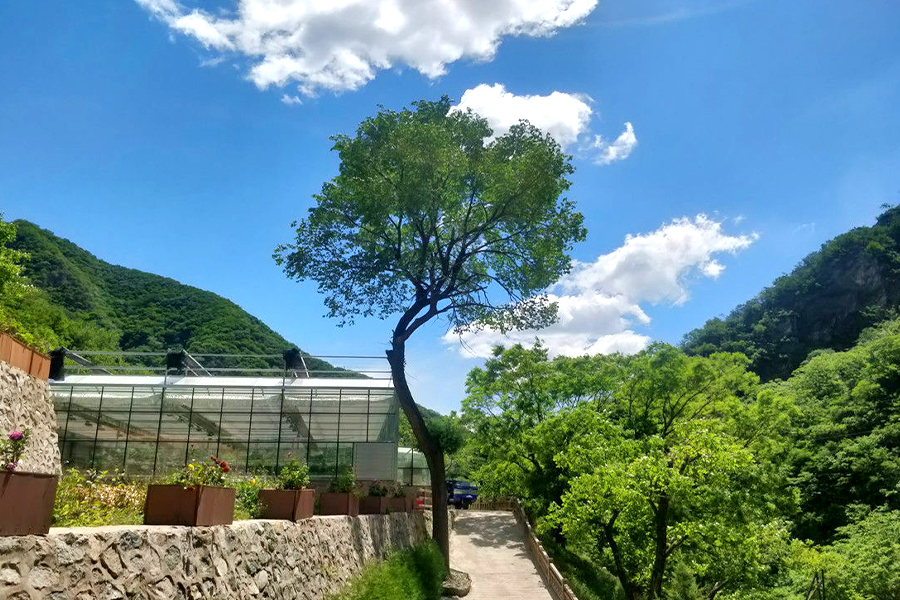 陵园绿化环境
