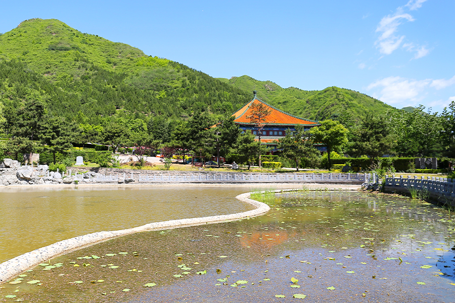 陵园环境