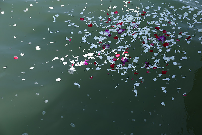 海撒鲜花