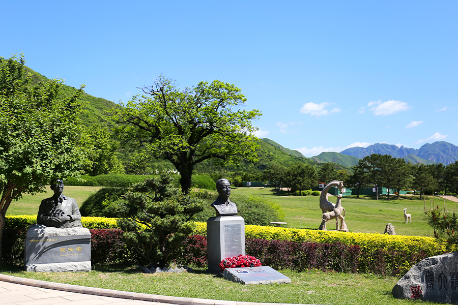 陵园环境