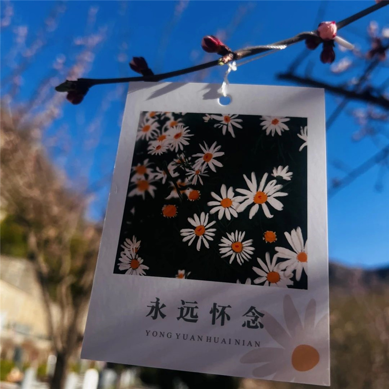 永远怀念