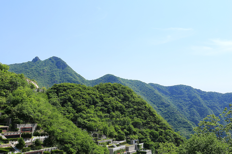 墓园环境