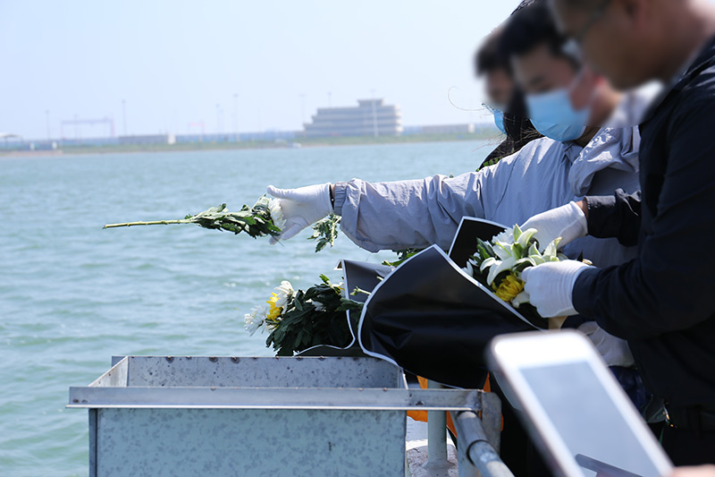 海撒花瓣