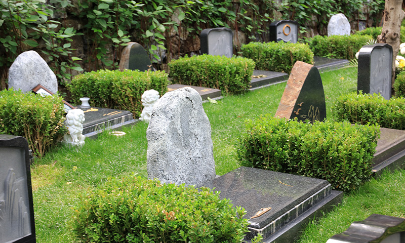 九公山长城纪念林生态卧碑