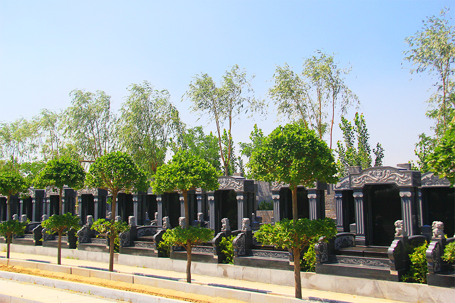 墓区环境