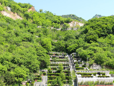 天寿陵园还有树葬吗？天寿陵园树葬的价格是多少？