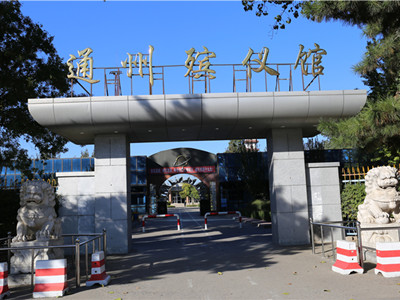 通州白事服务公司收费一条龙服务大概多少钱？包含遗体接运吗